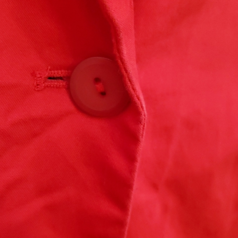 Blazer - Picture 4 of 6